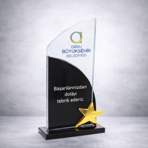 K-259 PLAKET