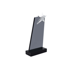 K-303 PLAKET